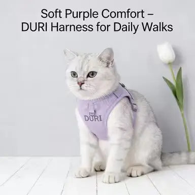 Escape-Proof Cat Harness: Breathable Mesh, Ear Accent