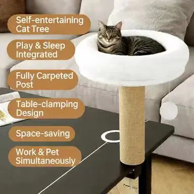 Table-Mounted Cat Scratcher: Rest & Scratch, Interactive Toy, Space-Saving (White-Beige)