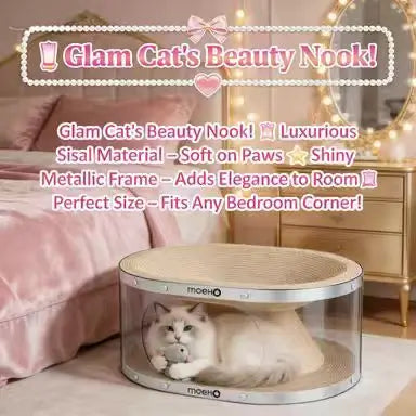 Double-Layer Cat Scratcher: Rest & Scratch, Transparent Design, Durable Surface (Beige)