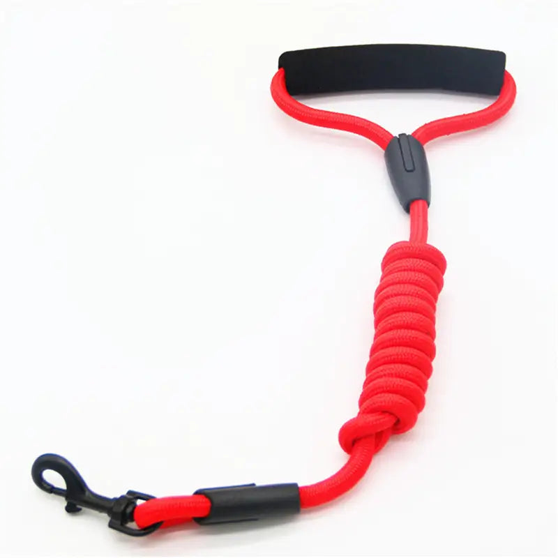 Shock-Absorbing Pet Leash: Padded Handle, Bungee Design