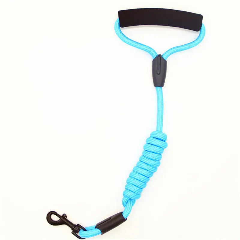 Shock-Absorbing Pet Leash: Padded Handle, Bungee Design