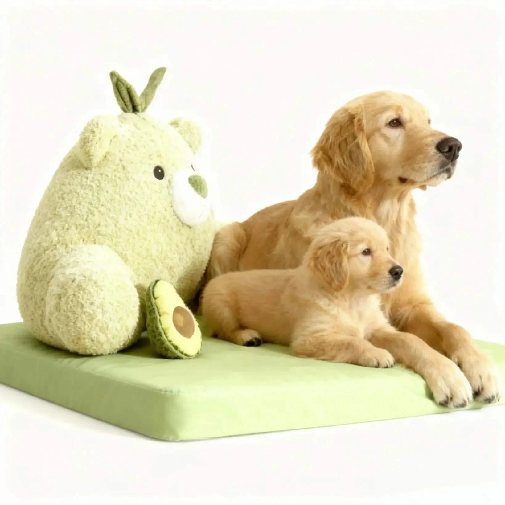 Avocado Sofa Dog Bed for Small Dogs, Cute Pet Bed Round Washable Plush Bed.