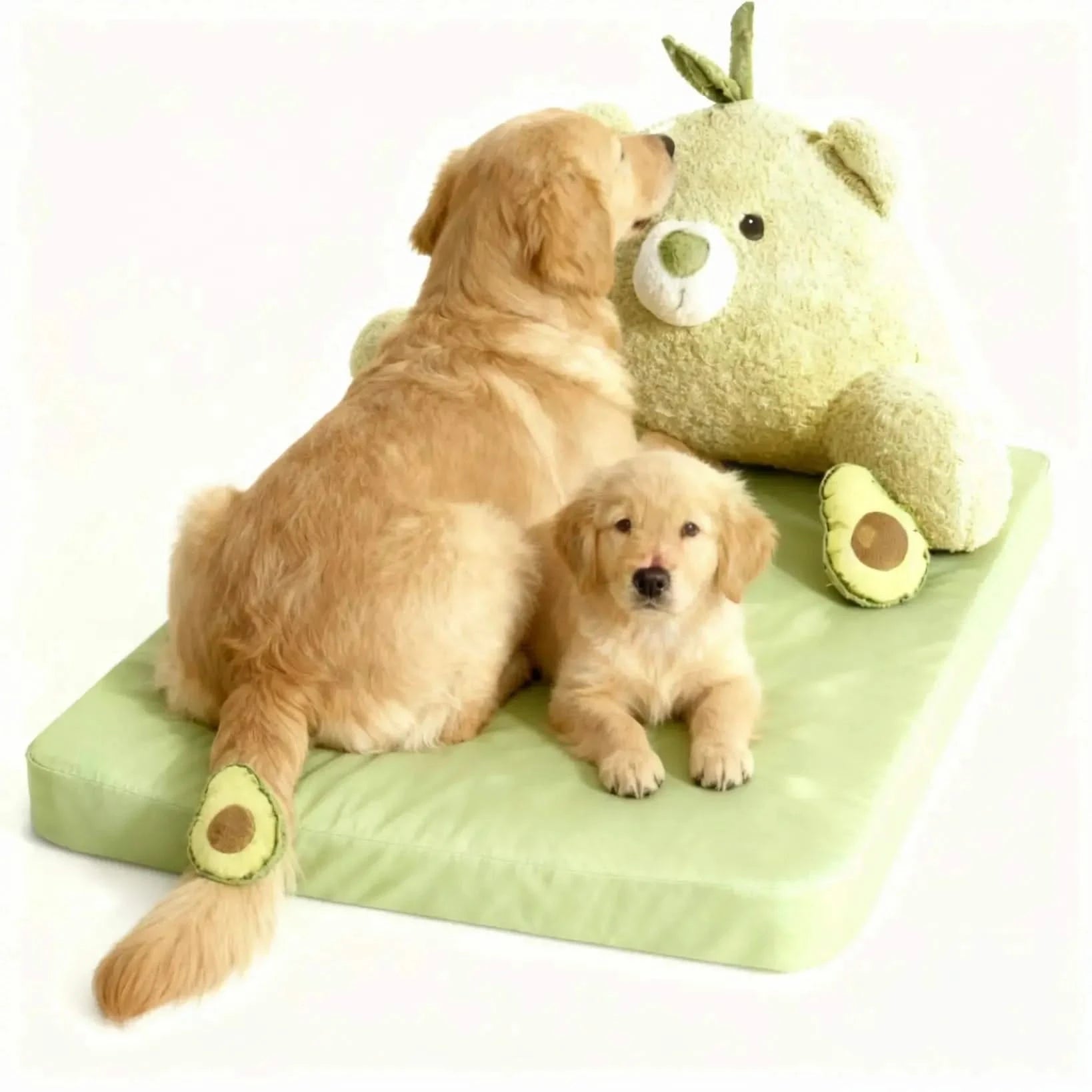 Avocado Sofa Dog Bed for Small Dogs, Cute Pet Bed Round Washable Plush Bed.