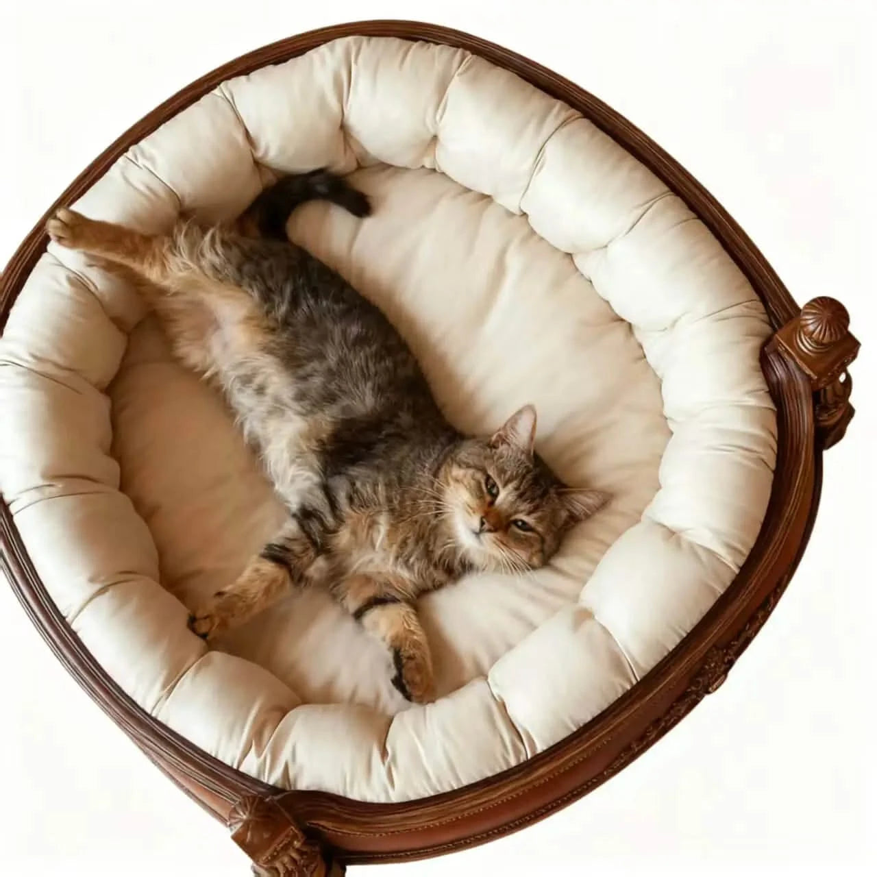 Luxury Cat Bed, Marble-Print Cloth, Brown/White, Plush Pad, All-Season Comfort
