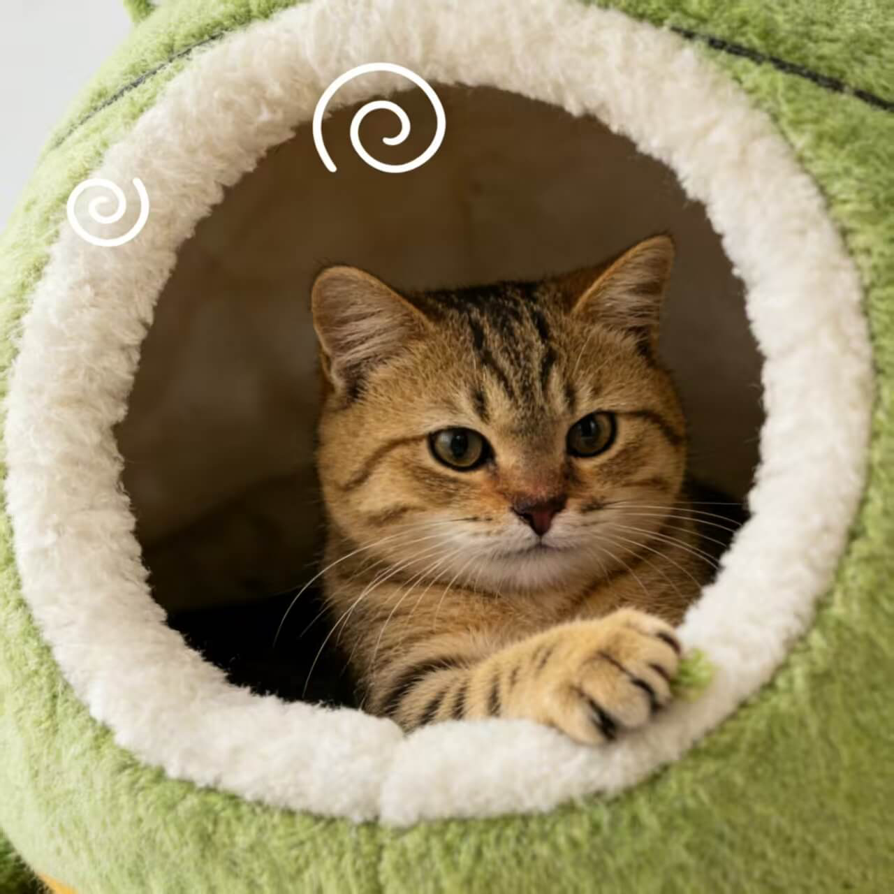 Washable Pet Bed for Cats, Frog Mouth Cave, 3D Eyes, Soft Plush, Green, All-Season