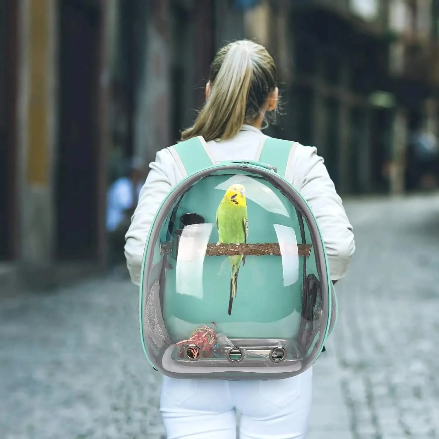 Clear View Bird Travel Backpack Carrier with Perch & Bowls for Small Parrots & Animals