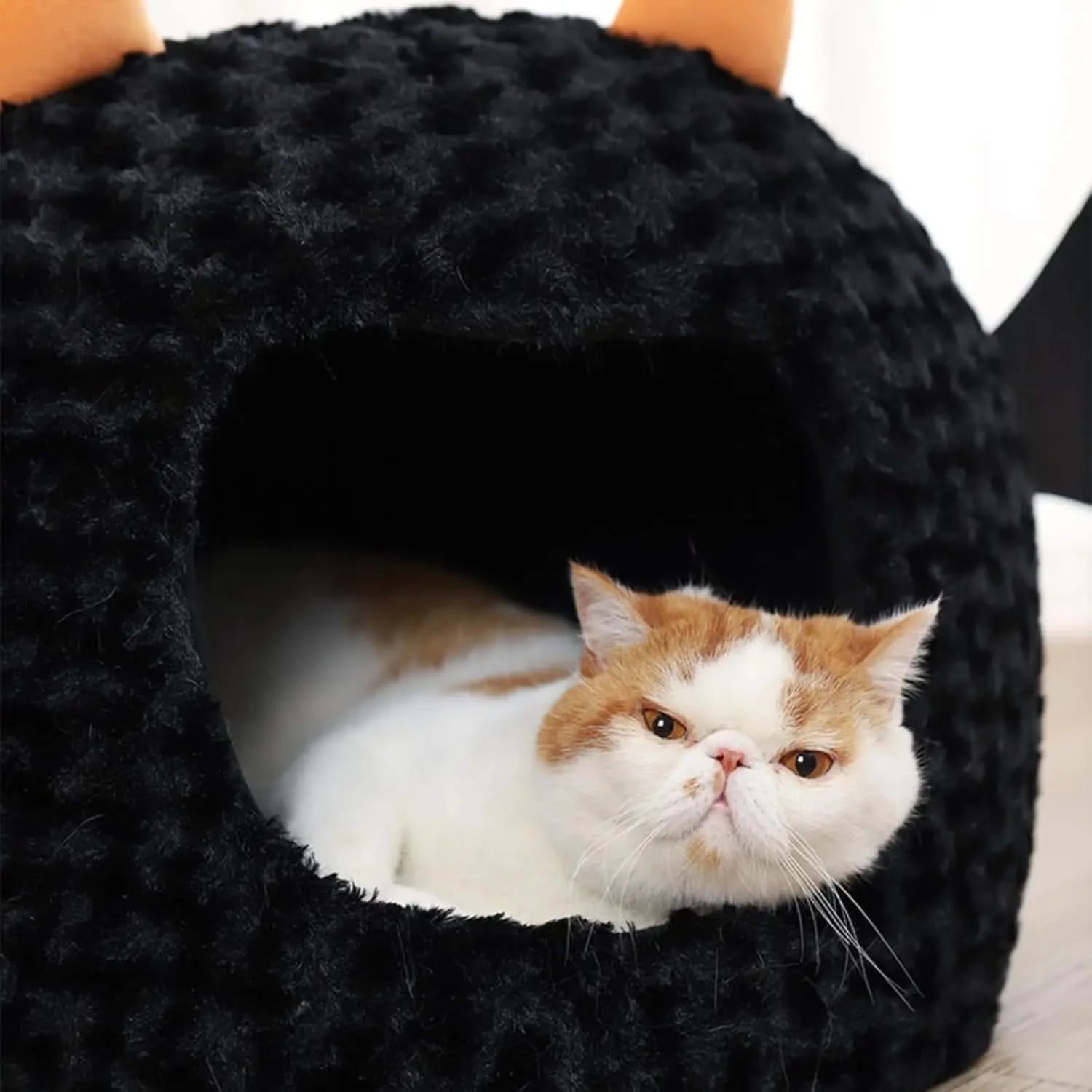 Funny Halloween Bat Cat Cave Bed: Warm, Ultra-Soft Plush, Removable Cushion