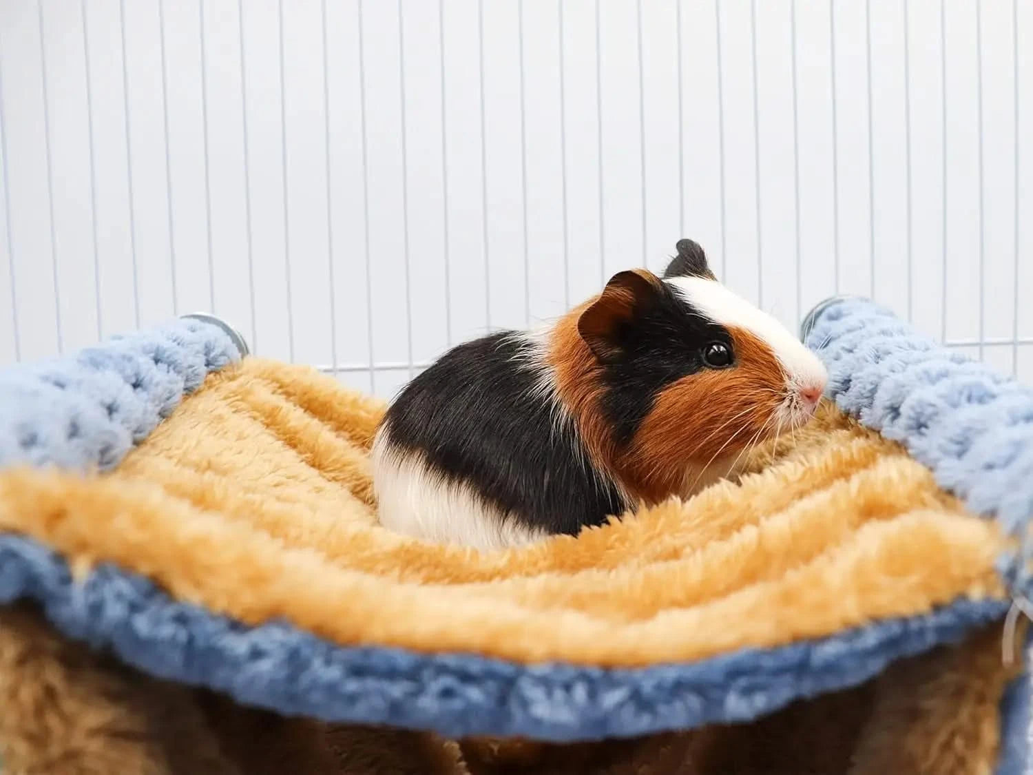 Warm Double-Layer Fleece Hammock: Cozy Hideaway for Small Pets and Birds