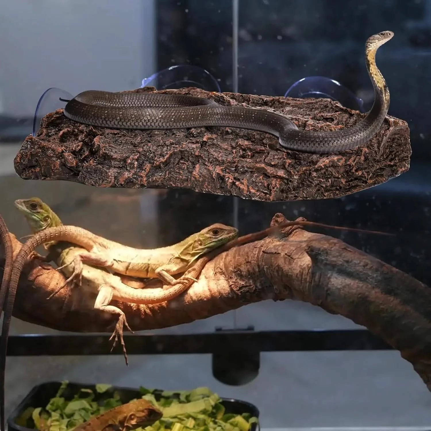 ZENFUN Turtle Basking Platform: Aquarium Tortoise Climbing Ramp, Strong Suction Cups