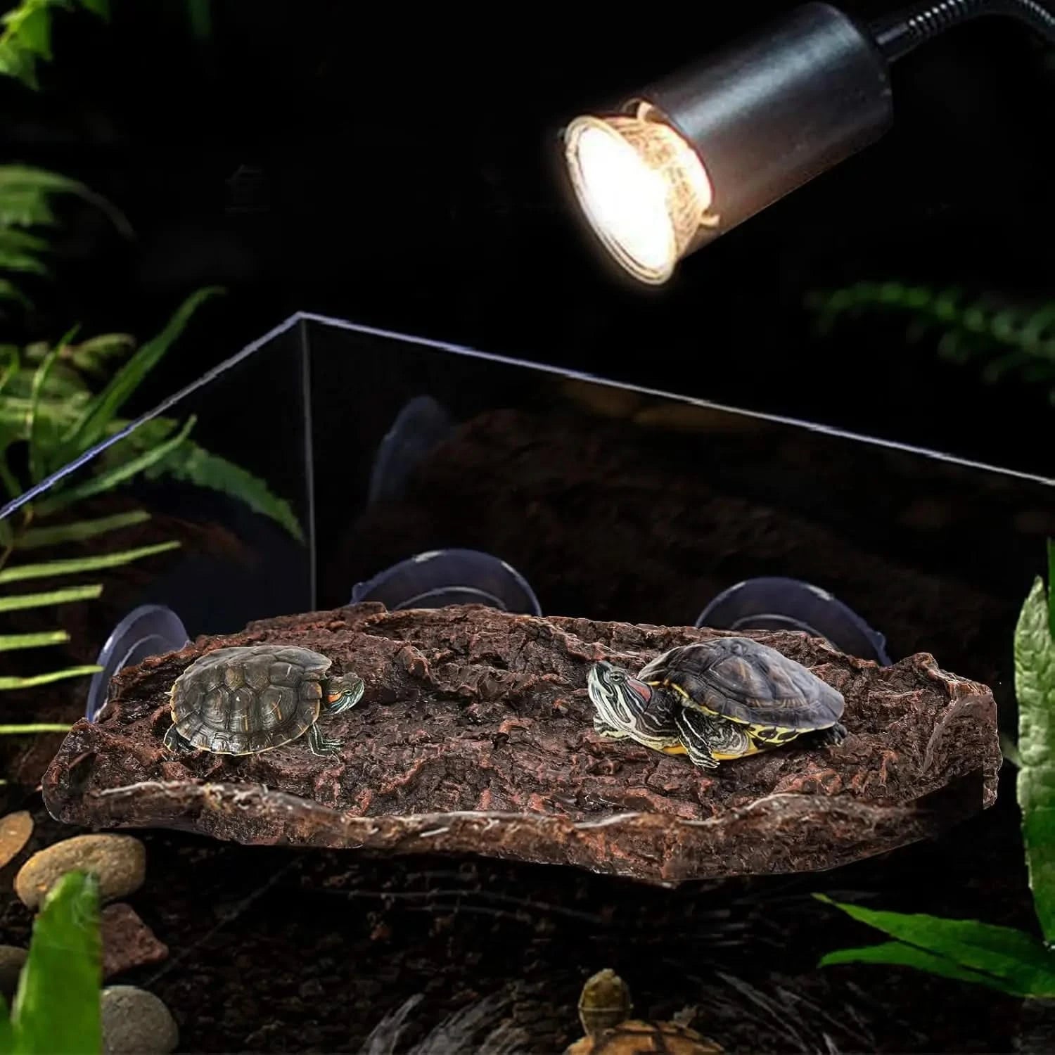 ZENFUN Turtle Basking Platform: Aquarium Tortoise Climbing Ramp, Strong Suction Cups