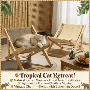 Folding Chair Cat Scratcher: Rest & Scratch, Patterned Design, Wooden Frame