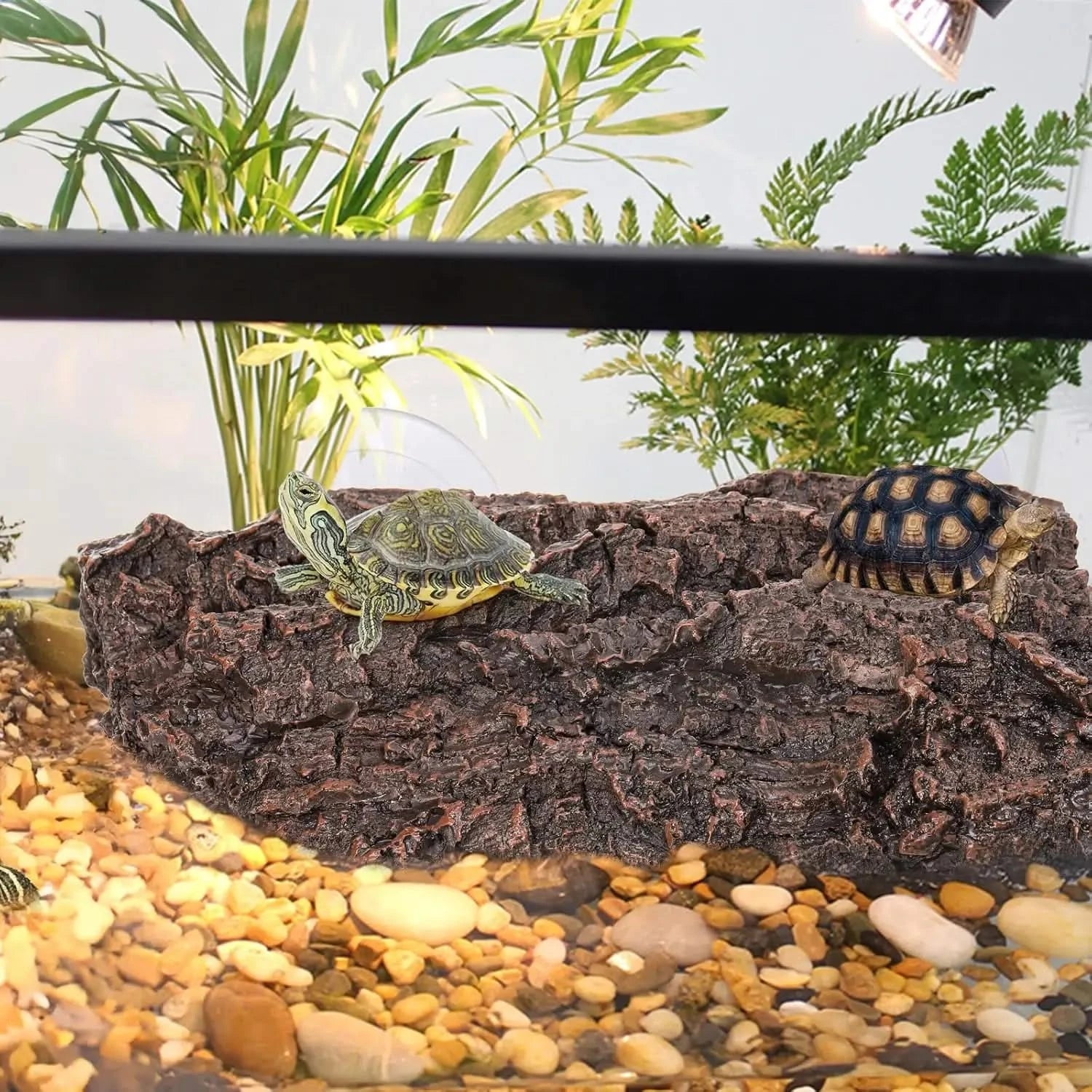 ZENFUN Turtle Basking Platform: Aquarium Tortoise Climbing Ramp, Strong Suction Cups