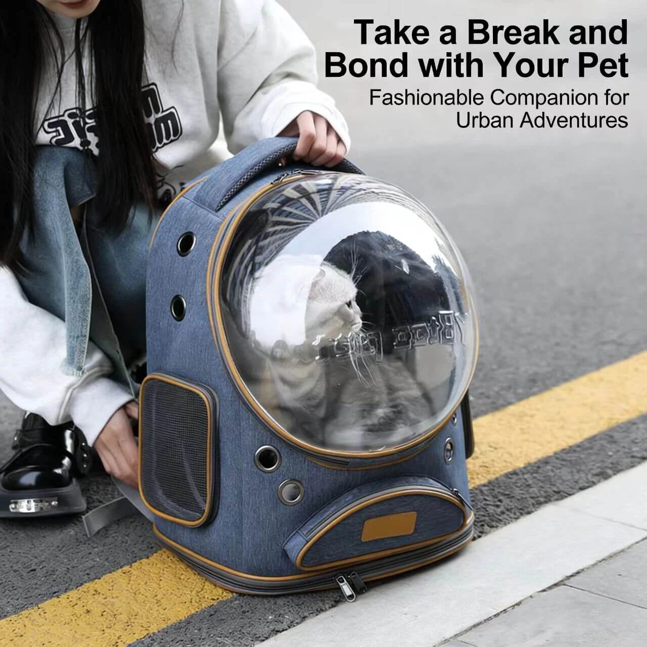 Travel Pet Backpack Carrier - Airy Vents, Clear View, Blue & Brown