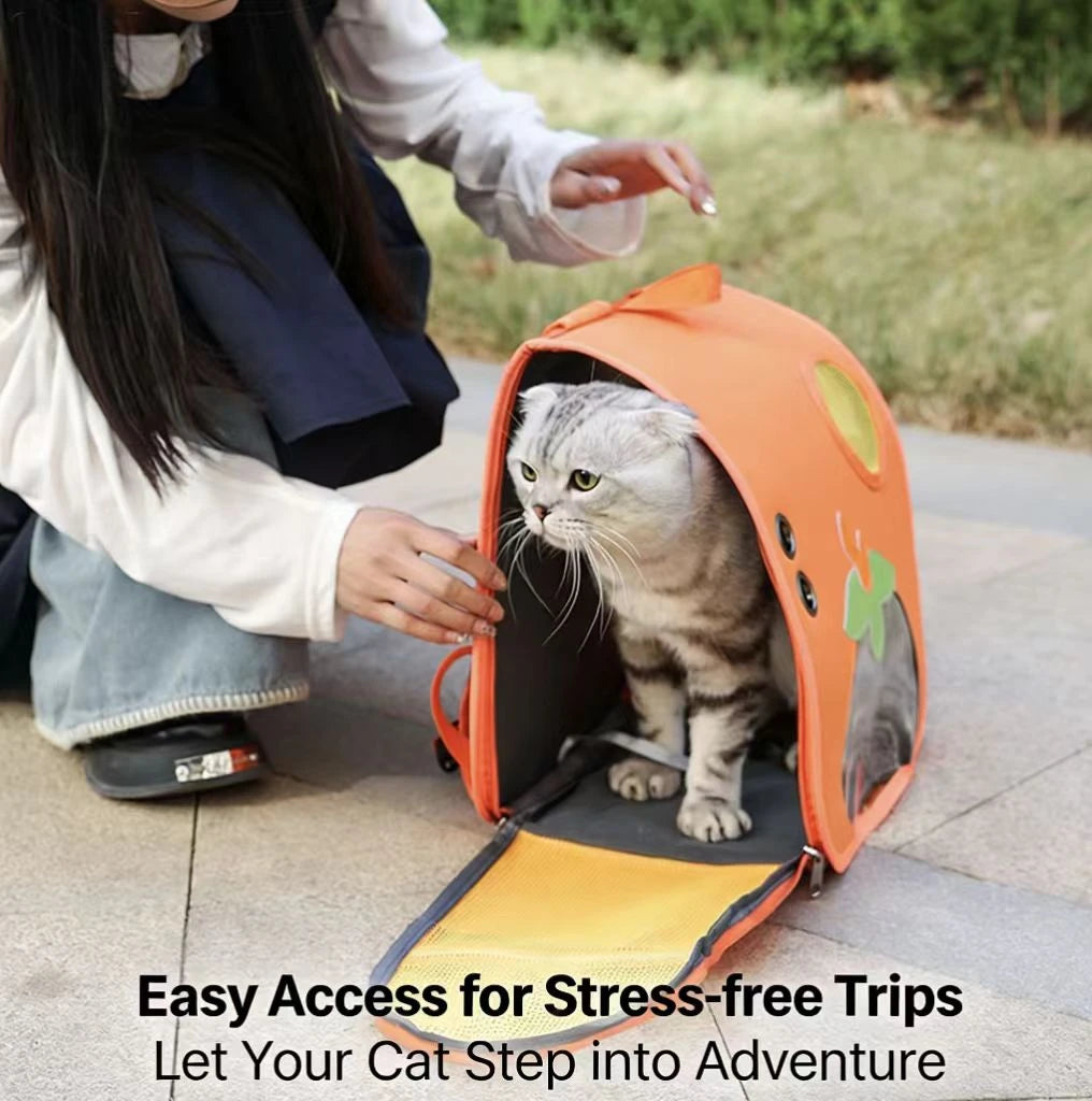 Lightweight Cat & Dog Backpack - Airy Mesh, Fun Print, Orange