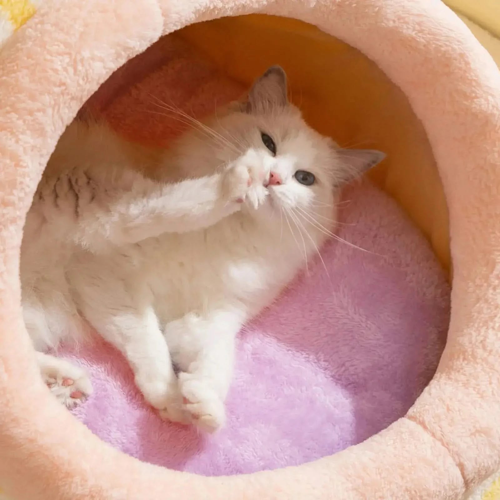 Soft Plush Cat Cave Bed House, Removable Washable Cushion, All Seasons