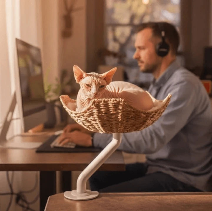 Modern Cat Window Perch - Stable Metal Base, Cozy Rattan Bed, Indoor Use