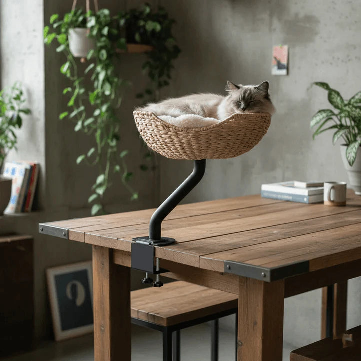 Modern Cat Window Perch - Stable Metal Base, Cozy Rattan Bed, Indoor Use