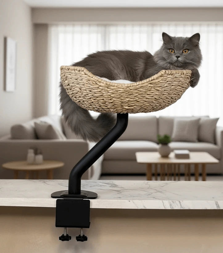 Modern Cat Window Perch - Stable Metal Base, Cozy Rattan Bed, Indoor Use