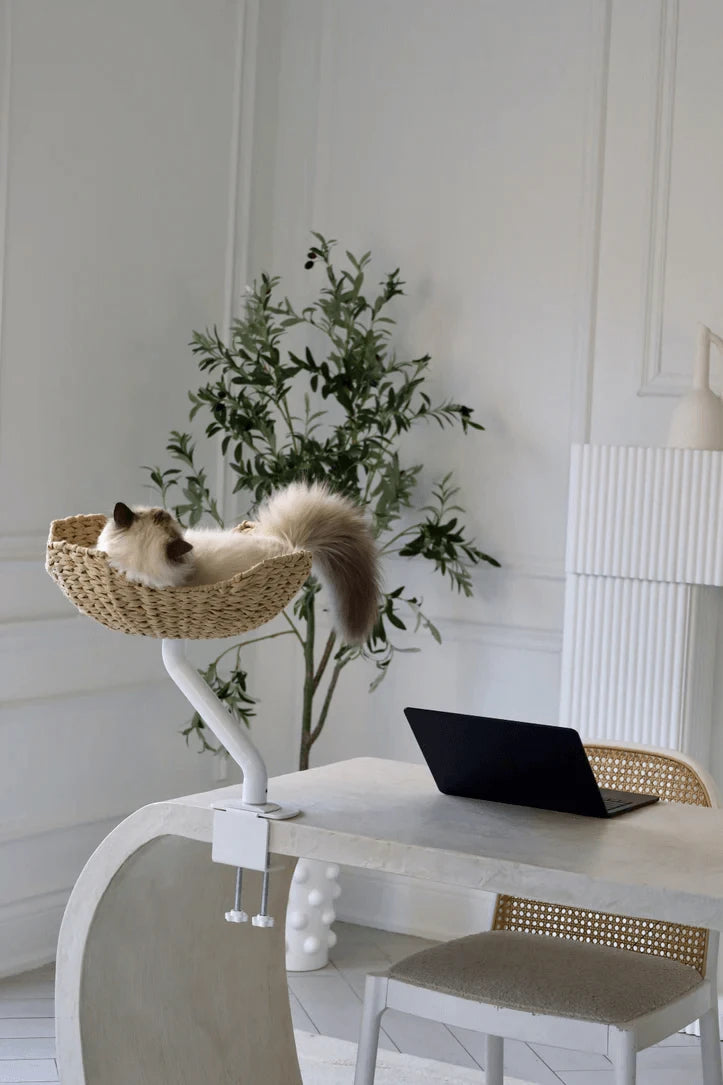 Modern Cat Window Perch - Stable Metal Base, Cozy Rattan Bed, Indoor Use