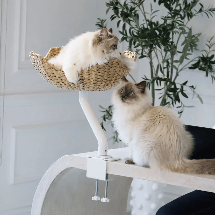 Modern Cat Window Perch - Stable Metal Base, Cozy Rattan Bed, Indoor Use