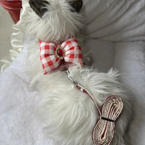 Escape-Proof Cat Harness & Leash: Gingham Bow & Rhinestone Accent