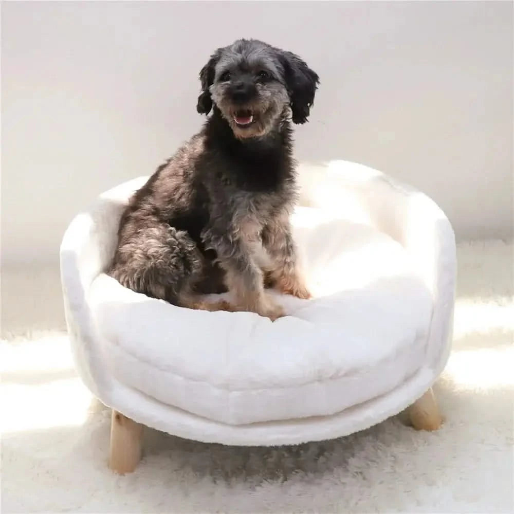 Ultra-Soft Elevated Pet Sofa Bed: Removable Washable Cushion for Cats & Small Dogs