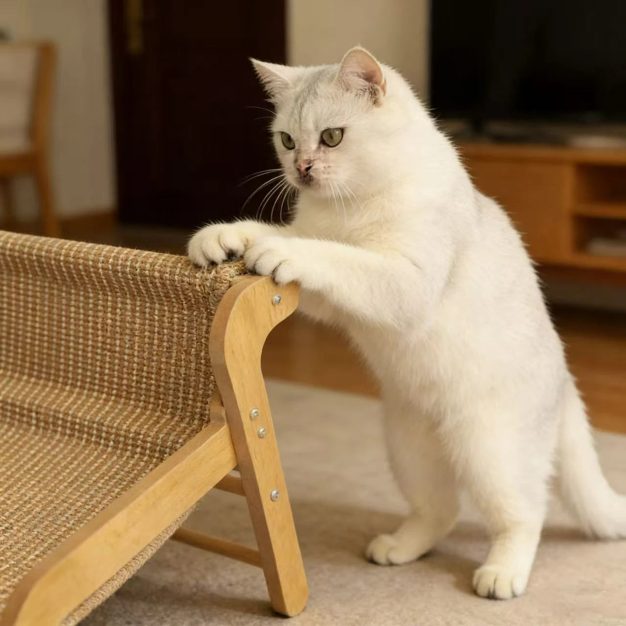 Rest & Scratch Cat Scratcher Bed for Cats - Wood Frame Woven Fabric Striped Beige