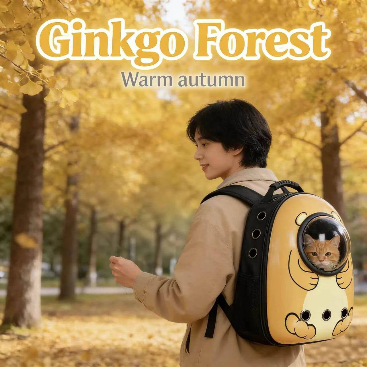 Travel Cat Backpack - Bear Design, Lightweight, Durable ABS