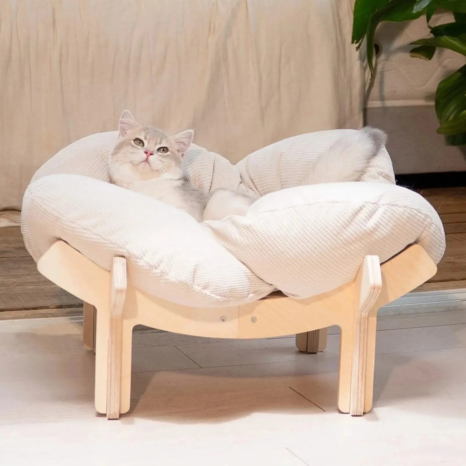 Elevated Wooden Cat Bed Sofa with Plush Cushion for Indoor Comfort