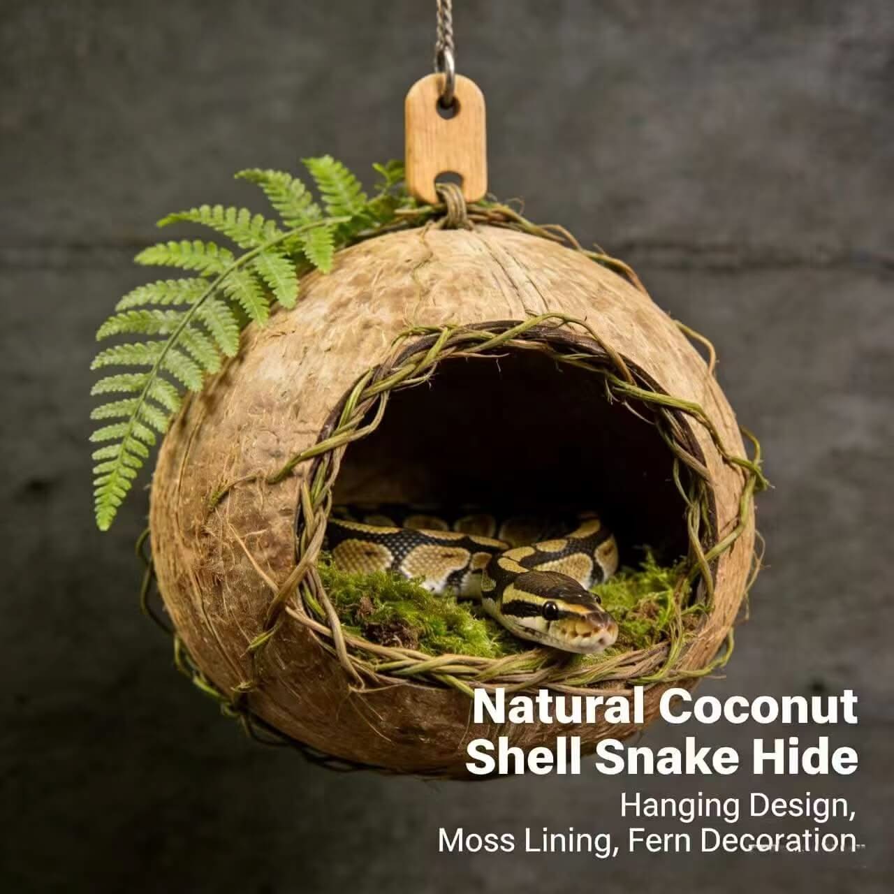 Hanging Coconut Snake Hide: Moss Lining, Fern Accent, Natural Habitat for Snakes