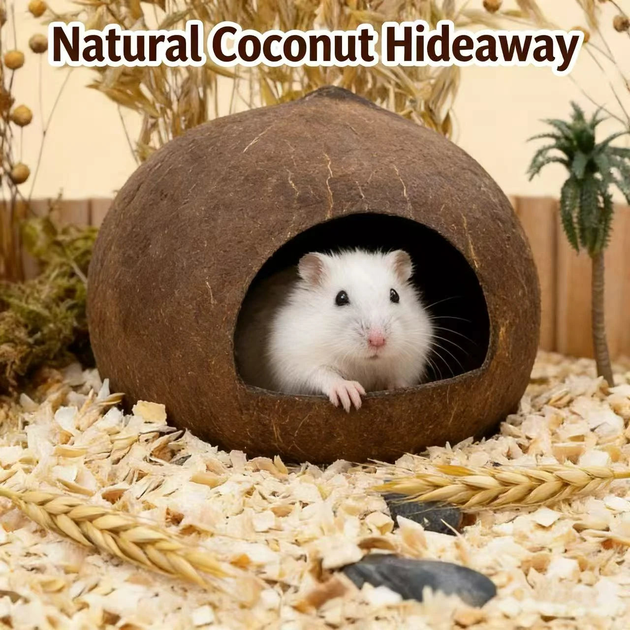 Hide & Rest Hamster Nest for Hamsters - Realistic Coconut Shell Texture Durable Brown Material