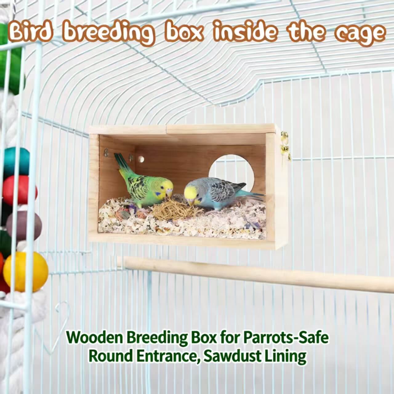 Safe Wooden Parrot Breeding Box: Round Entrance, Sawdust Lining (Cage-Mount)