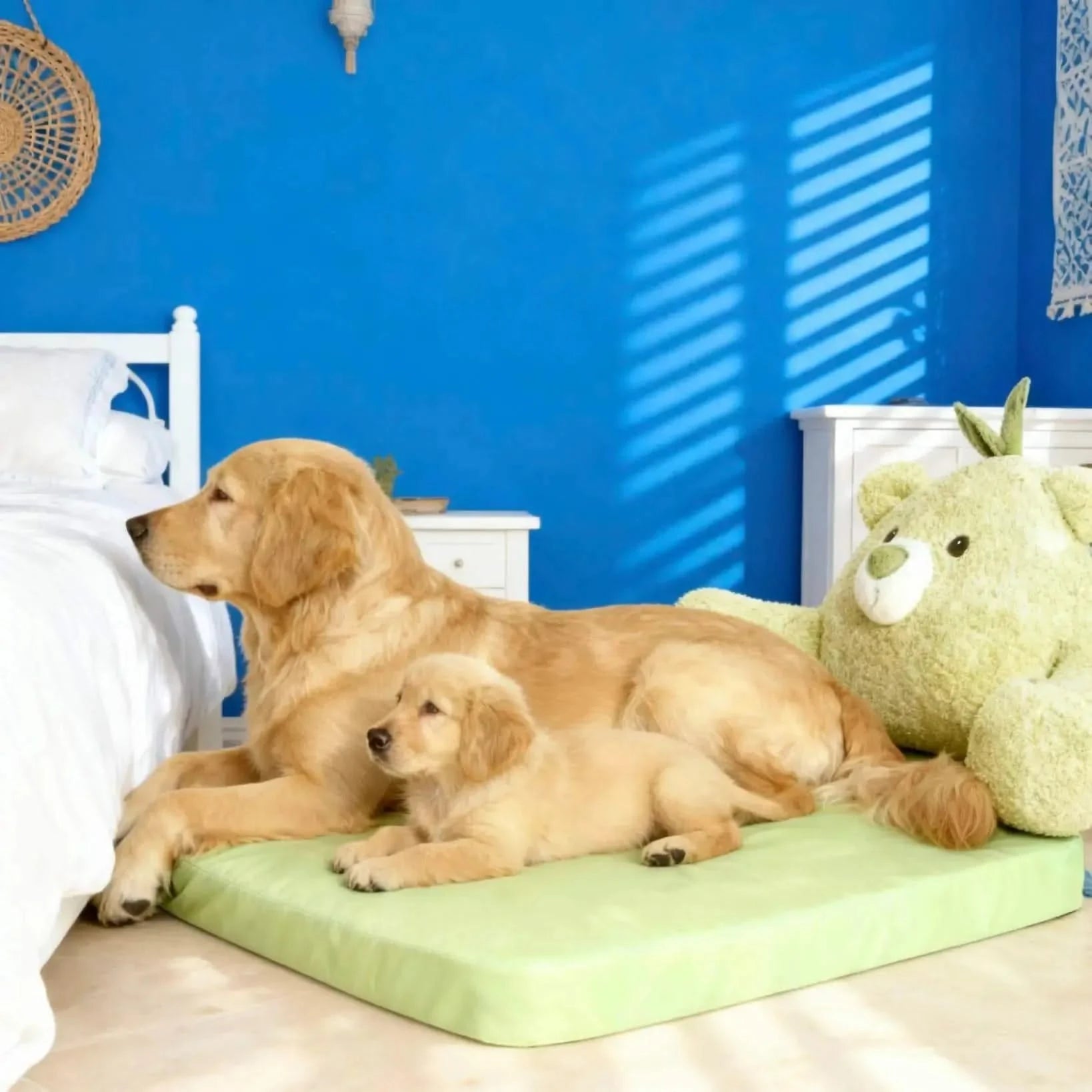 Avocado Sofa Dog Bed for Small Dogs, Cute Pet Bed Round Washable Plush Bed.