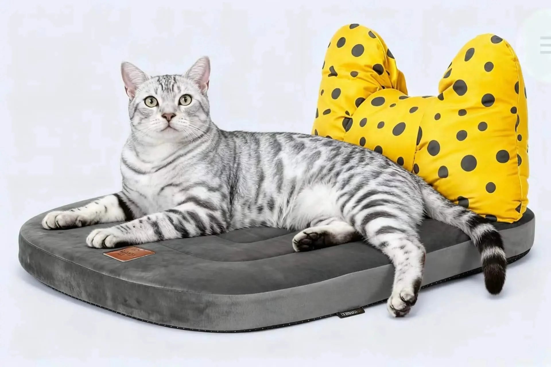 Cute Pet Bowknot Bed with Polka Dot Design - Plush Comfort Sleeping Mat for Pets Soft Supportive Cushion Bed with Removable Decorative Pillow.