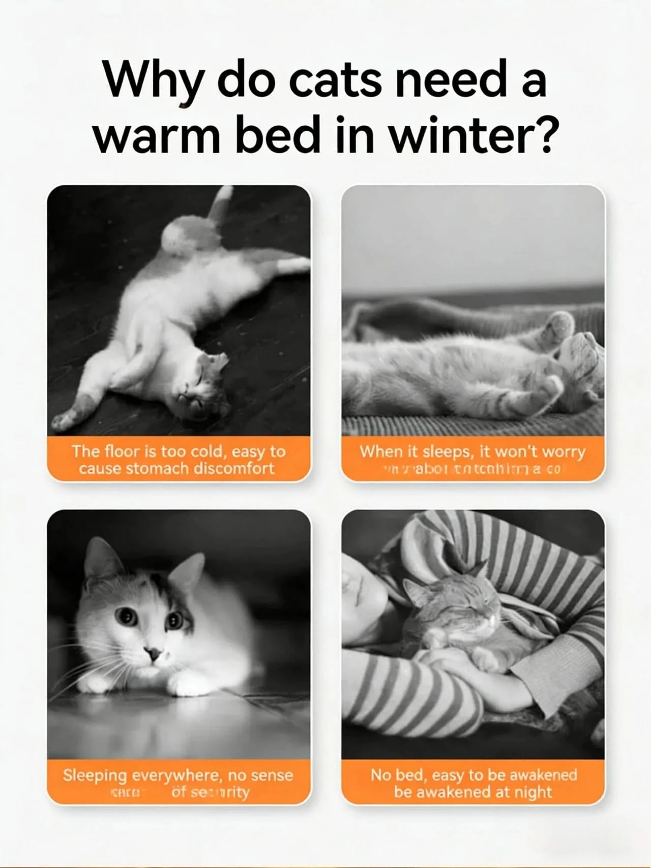 Lazy Cat Bed, Drowsy Eye Accent, Plush Fabric, Orange, Cozy Cave Nest, All-Season