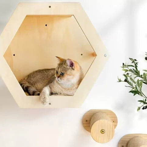 Wall-Mounted Rest Cat Perch/House for Cats - Hexagonal, Natural Wood