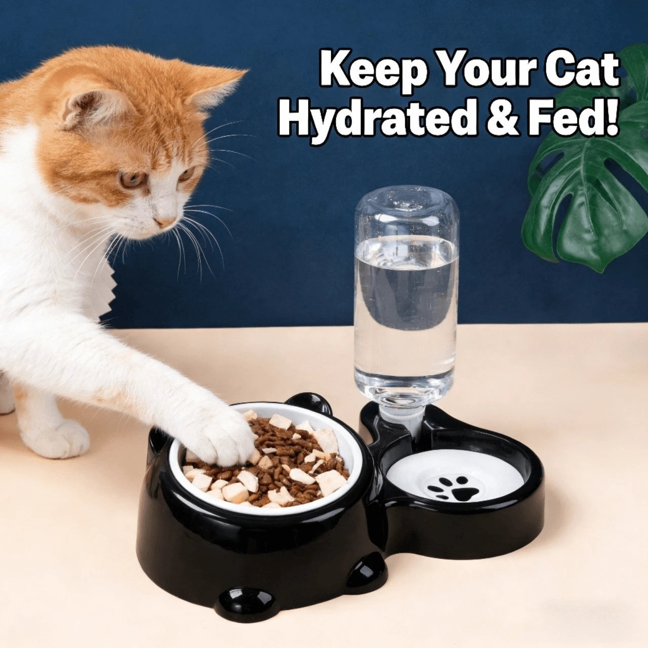 2-in-1 Hydration & Feeding Dual Bowl for Cats – Ceramic, Non-Slip, Black & White