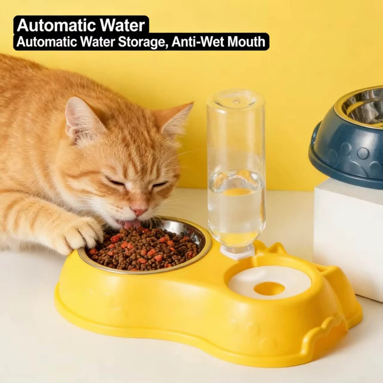 2-in-1 BPA-Free Feeding Bowl for Cats – Stainless Steel, Easy Clean, Yellow/Navy