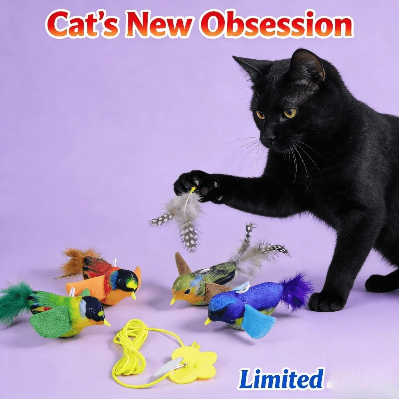 Interactive Hanging Bird Cat Teaser Toys with Colorful Feathers for Cats, Realistic
