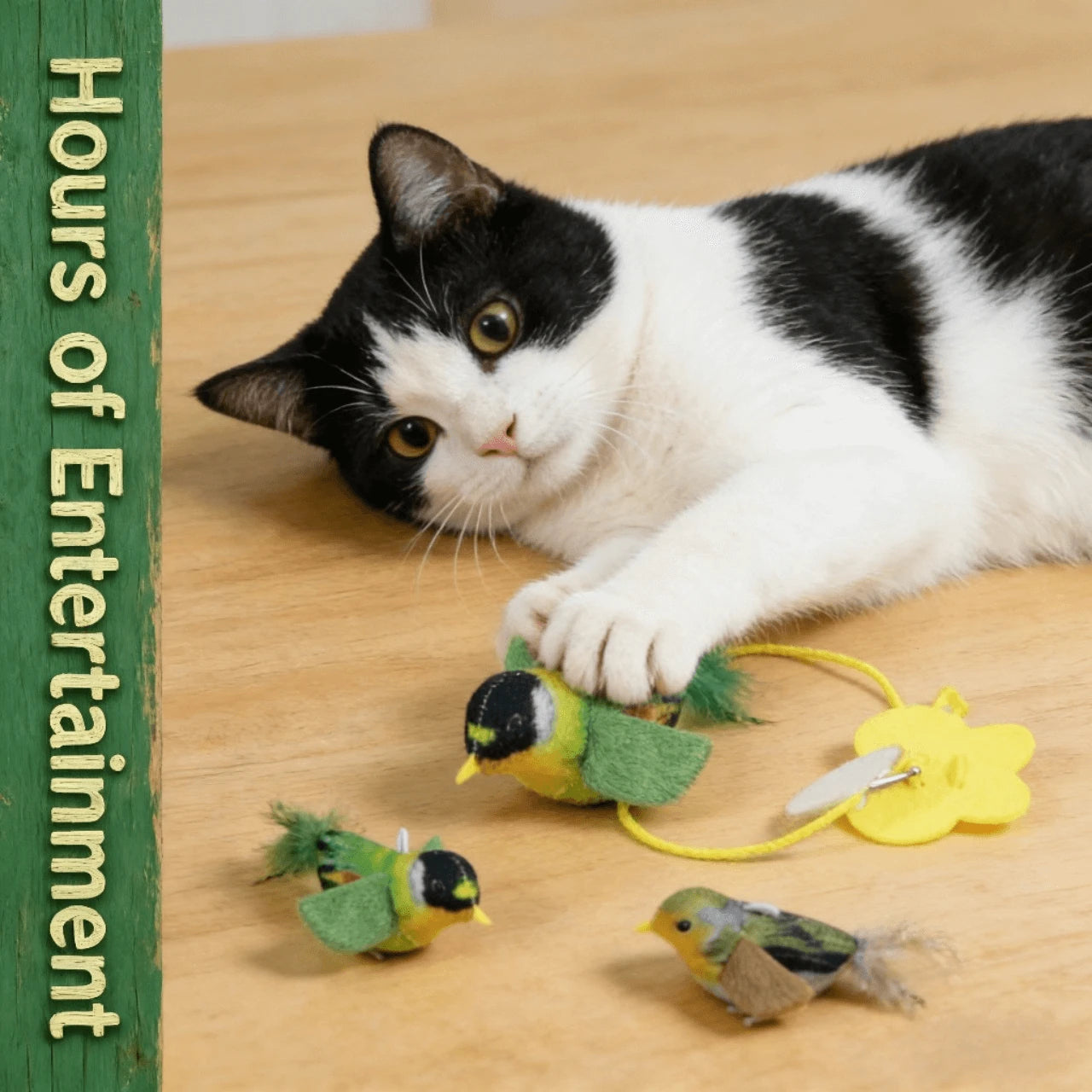 Interactive Hanging Bird Cat Teaser Toys with Colorful Feathers for Cats, Realistic