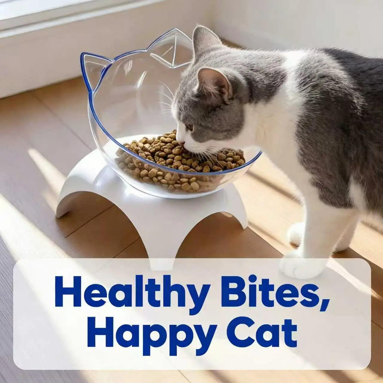 Elevated Tilted Cat Bowl - Ergonomic, Clear Acrylic, White