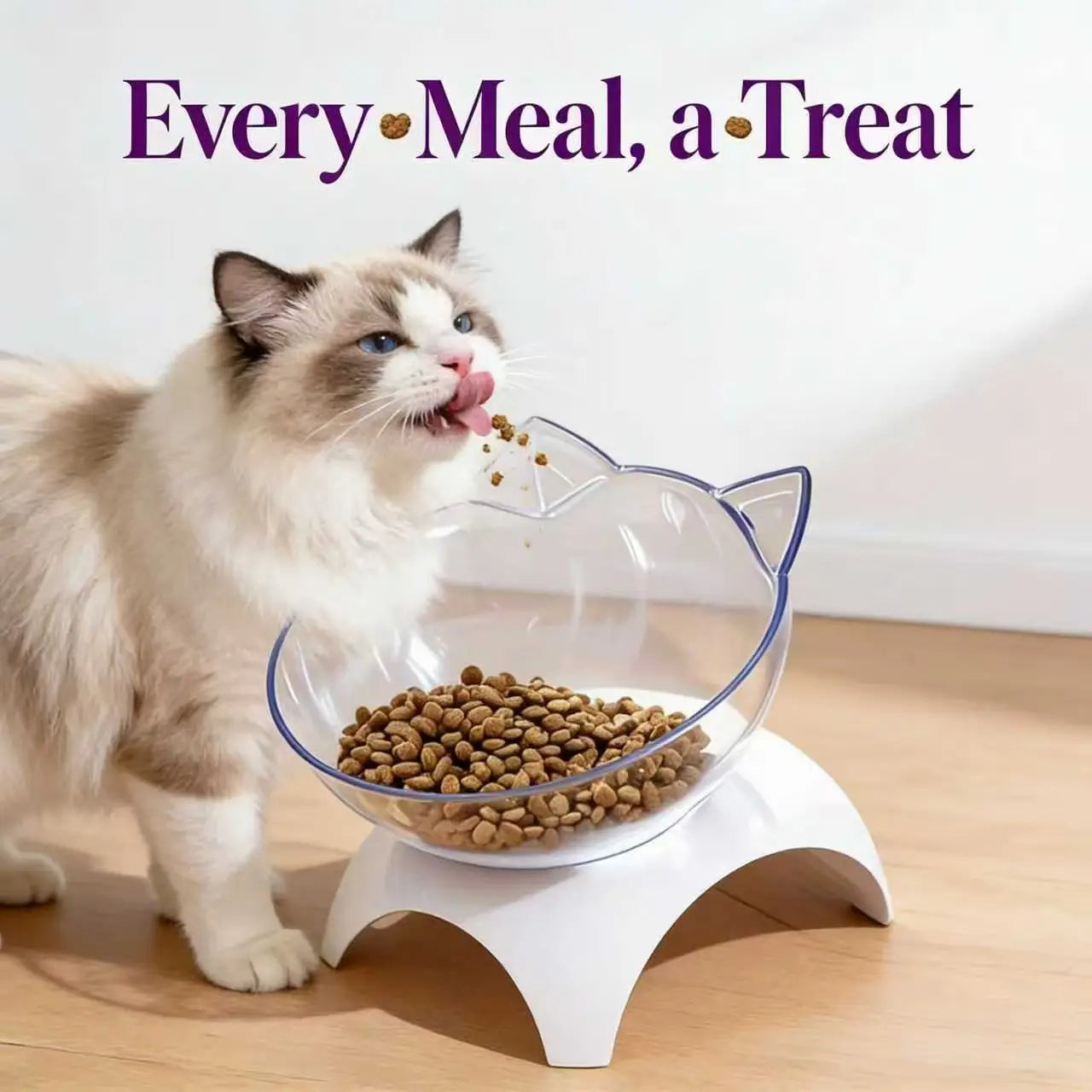 Elevated Tilted Cat Bowl - Ergonomic, Clear Acrylic, White