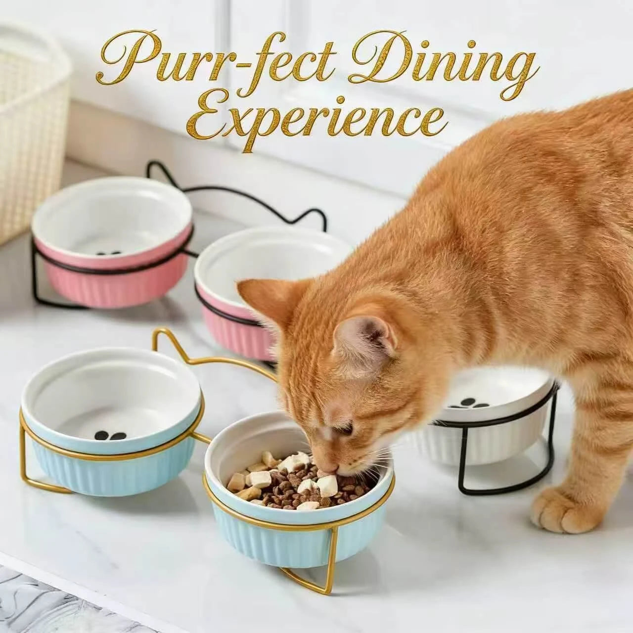 Neck-Protecting Elevated Ceramic Cat Bowl – Elegant Design, Multi-color