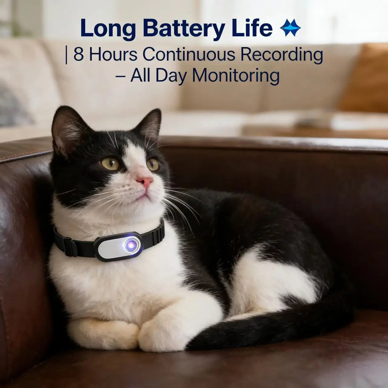 Mini Body Worn Camera - 1080P Thumb Cam, Wearable, Loop Recording, Black