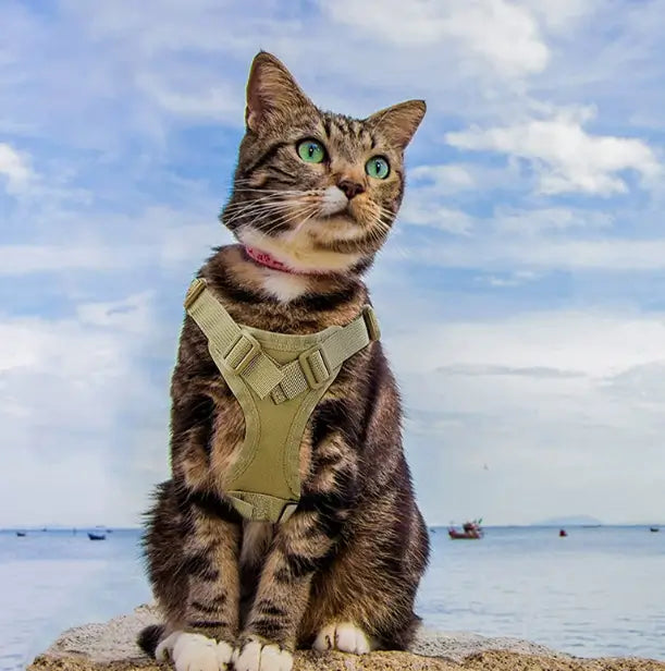 Escape-Proof Cat Harness & Leash - Breathable Mesh Lining, Anti-Chafe