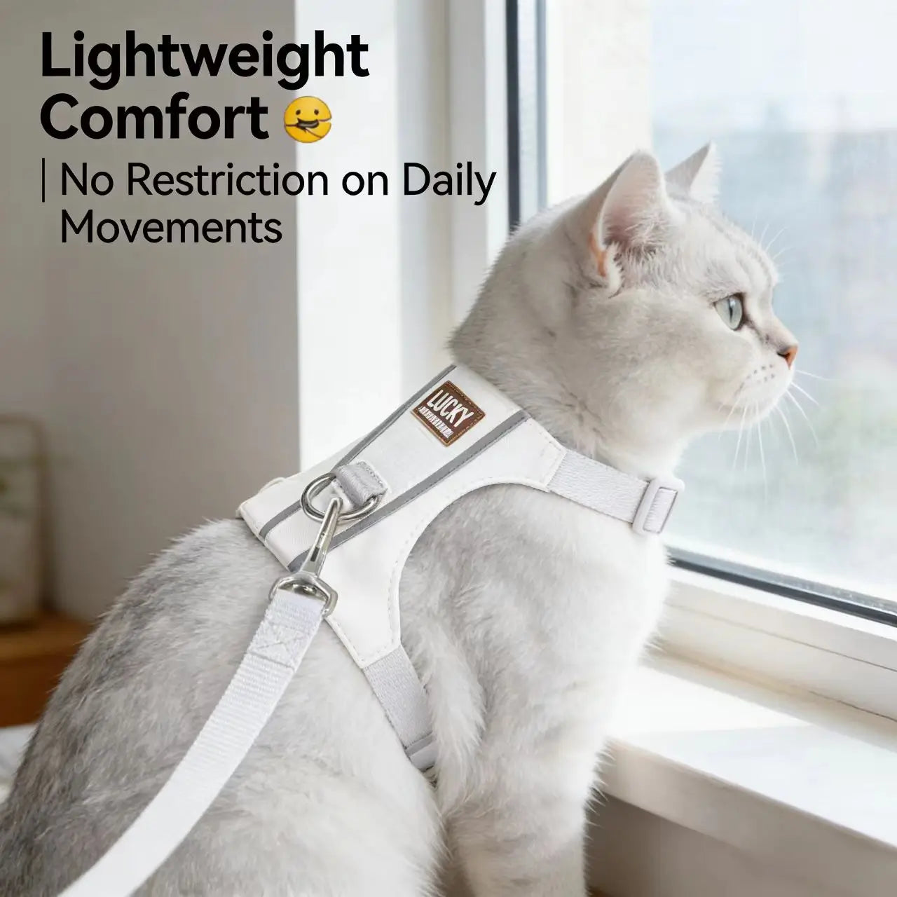 Movement-Friendly Reflective Cat Harness & Leash for All Cats