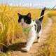 Rice Field Ramble Cat Harness - Gingham Bow, Secure, Light Green