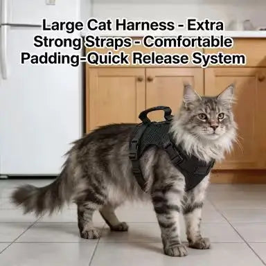 Tactical Escape-Proof Cat Harness: Heavy-Duty Fabric, Handle Design