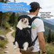 Hands-Free Pet Travel Backpack - Mesh Ventilation, Black