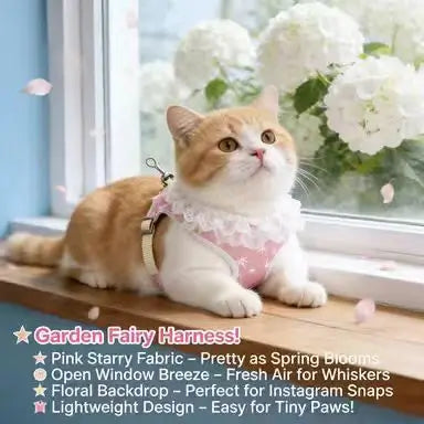 Escape-Proof Cat Harness & Leash: Ruffled Star Design, Adjustable Fit